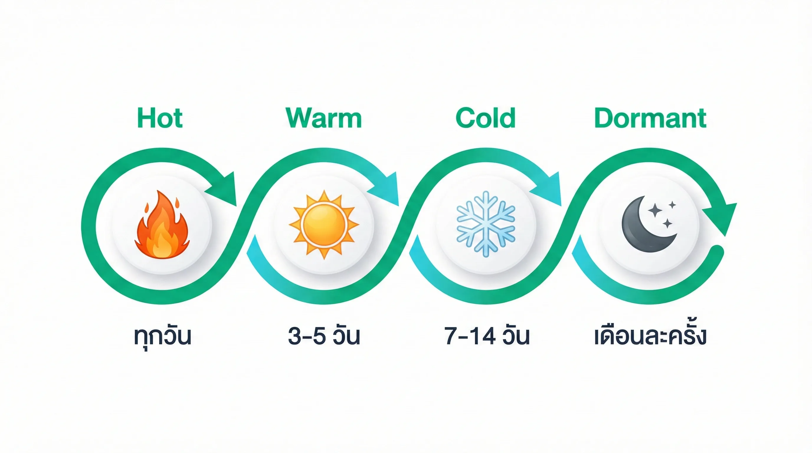 แผนภาพแบ่งกลุ่มลูกค้า Hot Warm Cold Dormant